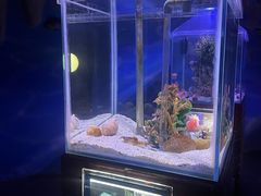 -太平洋海底世界