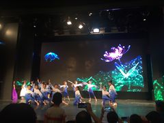 -美育儿童音乐舞蹈国际机构(浦东分校)