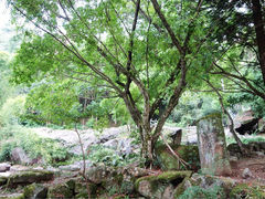 -南漈山