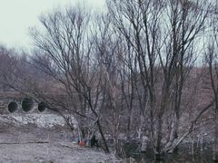 -绿堤公园