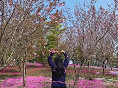 -南通洲际绿博园