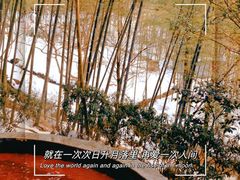 -江南天池