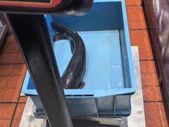 -鱼酷活鱼烤鱼(恒隆广场店)