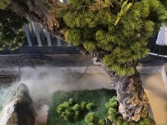 -上足·影院足道·SPA(红岭店)