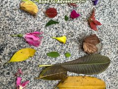 -南国桃园旅游度假区