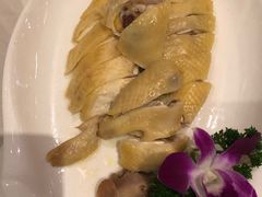 -欢乐海岸美食联盟