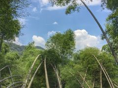 -会稽山峡洞漂流-上青古道