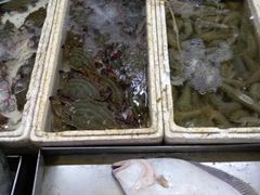 -丽苑大酒店