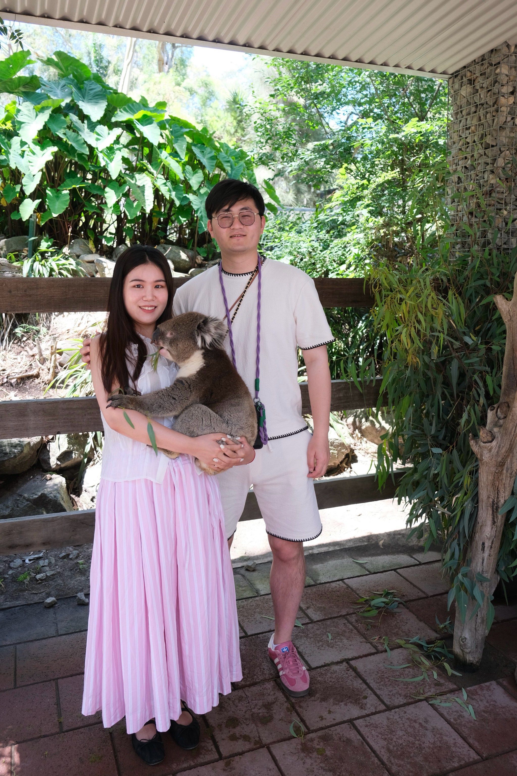 澳大利亚🇦🇺抱考拉 koala holding