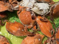 -星伦多自助料理(永旺店)