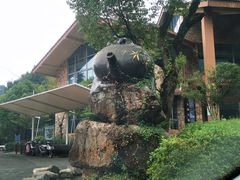 -东海大峡谷