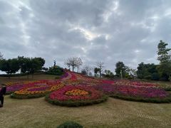 -东莞植物园