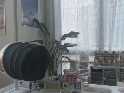 -LUNA皮相美·骨相美高级美感