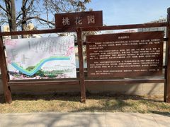 -桃花堤公园