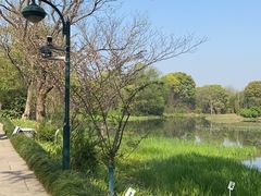 -西溪国家湿地公园