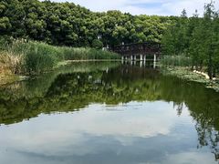 -同里国家湿地公园