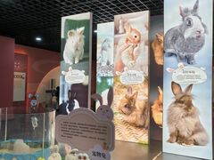 -浙江自然博物院(杭州馆)
