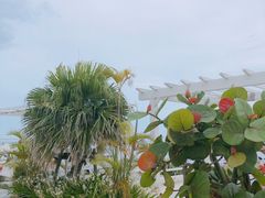 -濑长岛