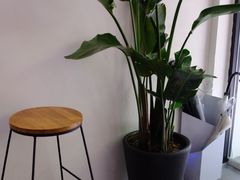 -常识咖啡common sense(春熙路店)