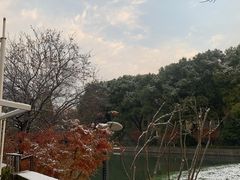 -南京钟山宾馆(江苏省会议中心)