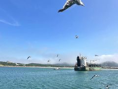 -海驴岛(荣成市)