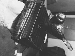 iphone_upload_pic-EGO原创机械密室逃脱(朝阳大悦城2店)