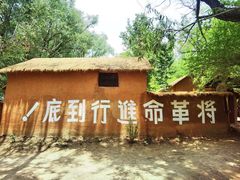 -滕州微山湖红荷湿地景区