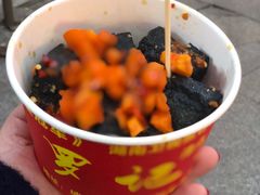 -武爹臭豆腐(坡子街店)