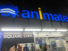 -Animate(秋叶原本馆)