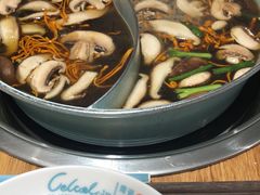 -青瓷火锅料理(西单大悦城店)