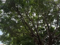 -深圳海景嘉途酒店(东翼楼)