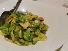 手撕包菜-悦海堂(金融街购物中心店)