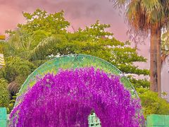 -珠海海泉湾神秘岛亲子乐园