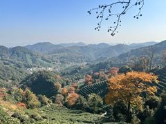 -西湖风景区十里琅珰-五云山