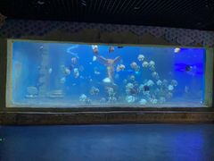 -梦幻海洋王国(吾悦广场张家港店)