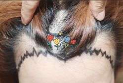 -大麦微针植发全国连锁