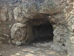 -上海佘山国家森林公园天马山园