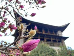 -回辉登偰氏面片(东莲花美食街店)