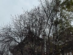 -古大圣慈寺