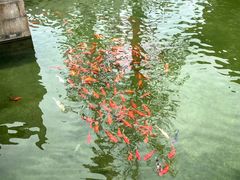 -重元寺香积厨素斋馆