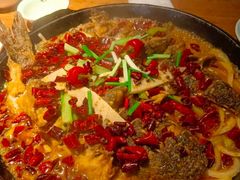 -老板恋上鱼(高新万达店)