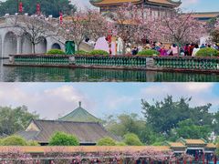 -宝墨园景区