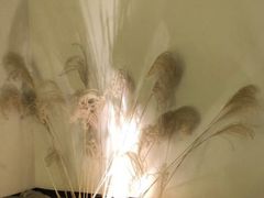 -澣花 四川火锅(新宿本店)