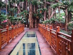 -沈阳龙润夏宫温泉水乐园