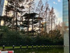 -上海璞麗酒店