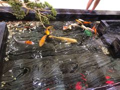 -天沐温泉(抚顺店)