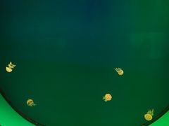 -福州罗源湾海洋世界旅游区