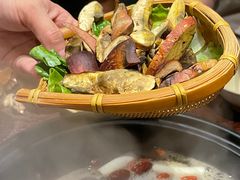 -滇野云南野生菌餐厅(陕西南路店)