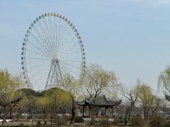 -无锡蠡湖国家湿地公园-蠡园