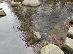 -福清灵石山国家森林公园